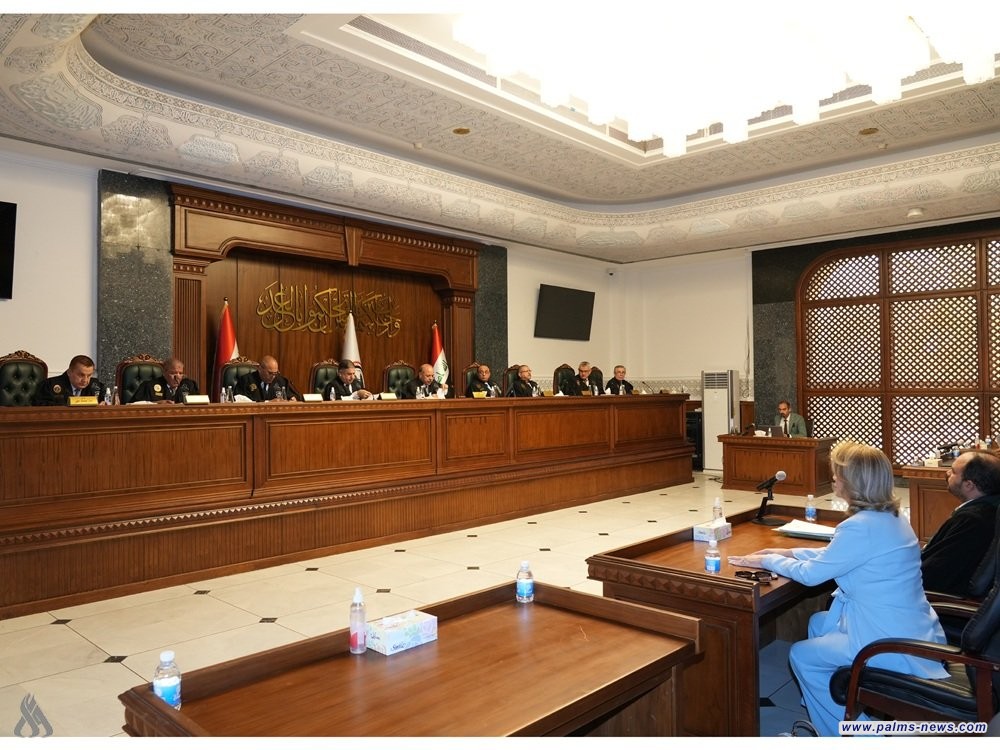 المحكمة الاتحادية: الحكم بعدم دستورية قانون التعديل الأول لقانون جوازات السفر